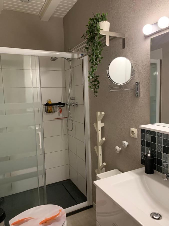 Houssen/Colmar: « Chez Lin'Doux », Le Nid Alsacien Apartment ภายนอก รูปภาพ